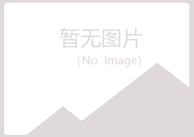 青铜峡夏槐建设有限公司